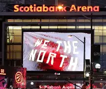 欧宝娱乐-多伦多猛龙队夺冠阵容