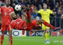 欧宝娱乐-弗赖堡队主客场球衣