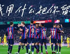 伊斯坦布尔巴萨克塞尔 伊斯坦布尔巴萨克塞尔